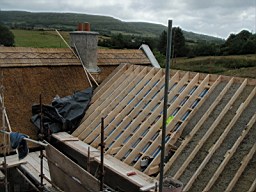 carrowcrory studio-4034.JPG